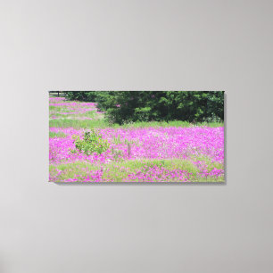 A field of pink spring wildflowers canvas print