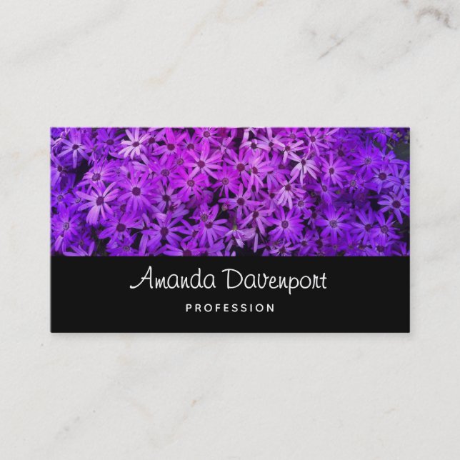 A field of Purple and Pink Daisies Business Card (Front)