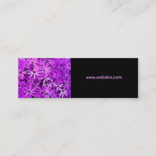 A field of Purple and Pink Daisies Mini Business Card