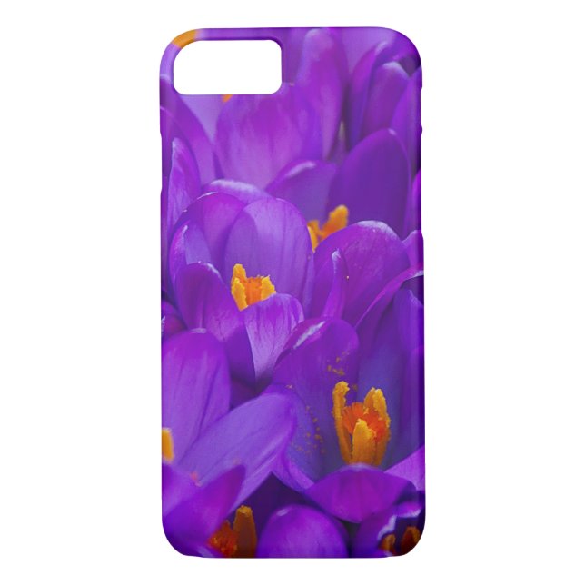 A Field of Purple Crocuses Case-Mate iPhone Case (Back)