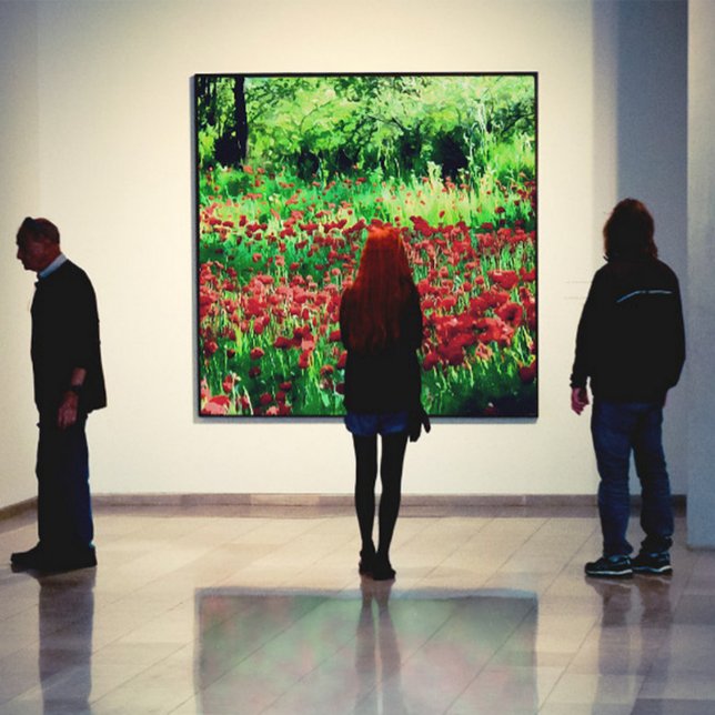 A Field Of Red Wildflowers Landscape Art Canvas Print (Creator Uploaded)