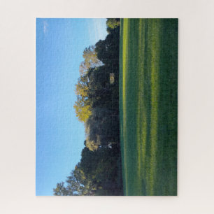 A Field of Reflection Jigsaw Puzzle