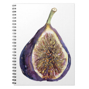A Fig Painting Notebook