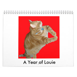 A Fine Fandango ~ A Year of Louie Calendar