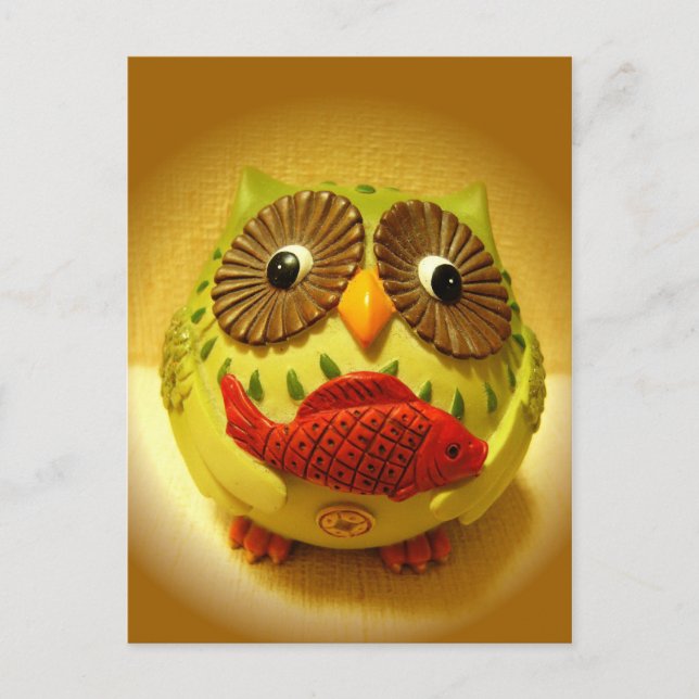 A Fish For You? Postcard (Front)