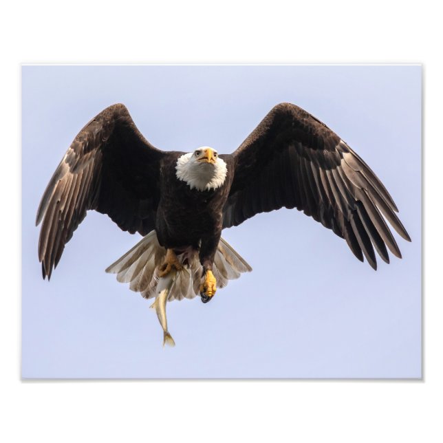 A Fistful Of Fish Photo Print (Front)