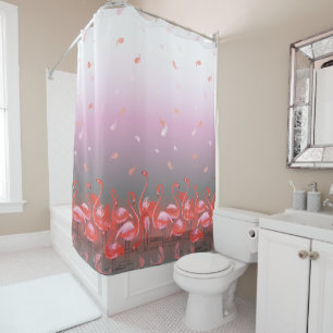 A Flamboyance of Flamingos