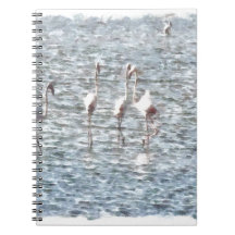 A Flamboyant Pat Of Flamingos