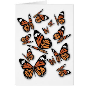A Flight of Butterflies