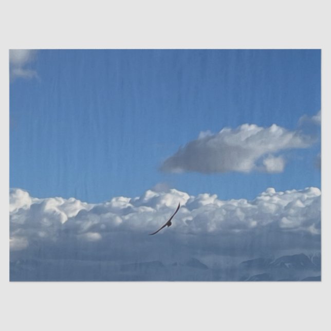 A flight under the clouds tissue paper (Front)