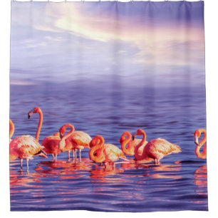 A flock of beautiful pink flamingos against a purp