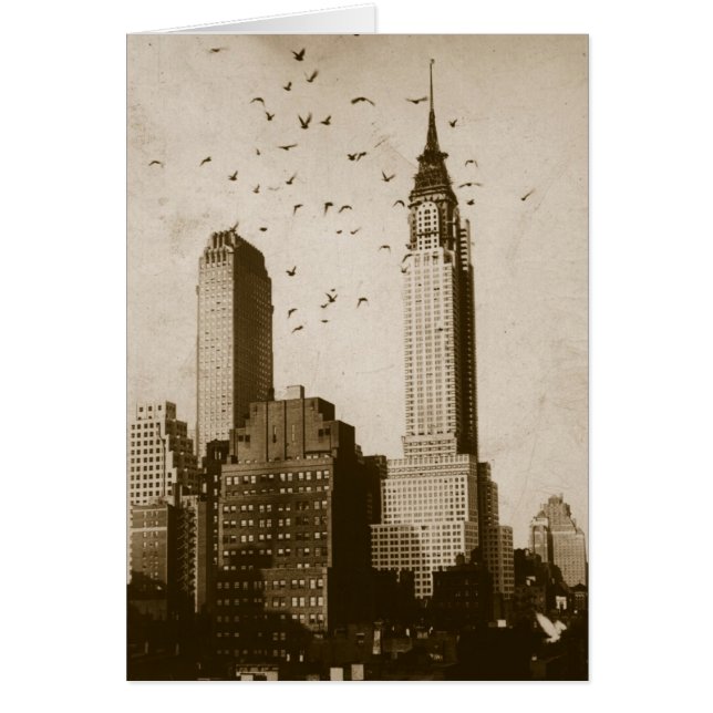 A flock of birds flying (Front)