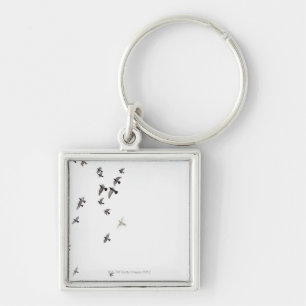 A flock of birds is flying at the sky keychain