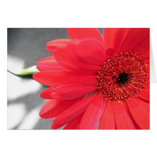A Flower for you Card