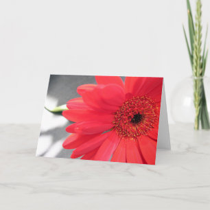 A Flower for you Holiday Card