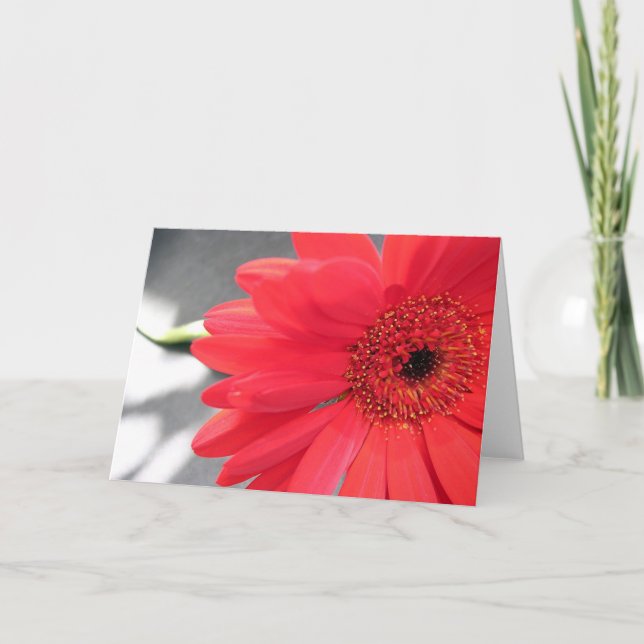 A Flower for you Holiday Card (Front)