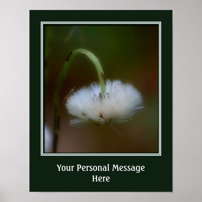 A Fluffy Flower Create Your Own Personalized Poster (Front)