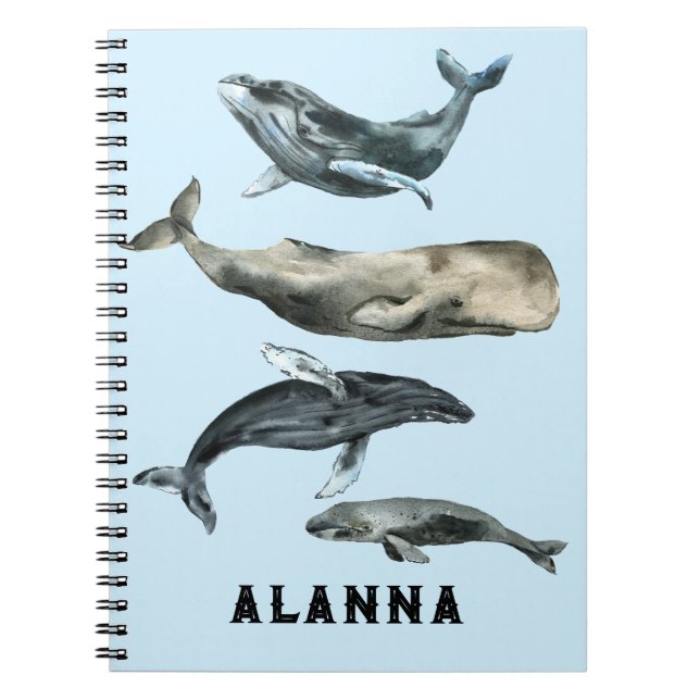 A flurry of whales  notebook (Front)