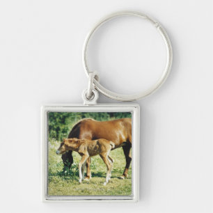 A foal and a horse in a pasture. keychain