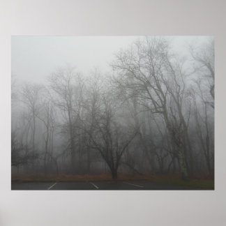 A foggy day on the Skyline Drive in Virginia Poster