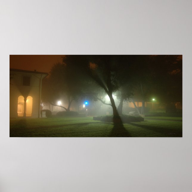 A Foggy Olive Walk Poster (Front)