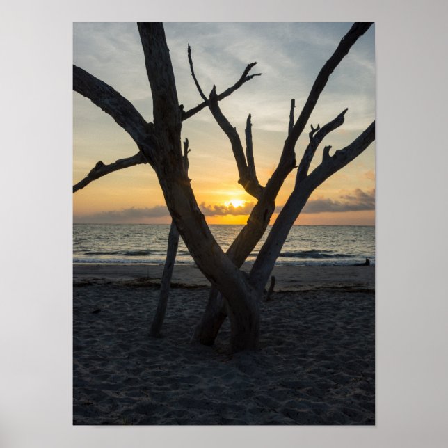 A Folly Sunrise Poster (Front)