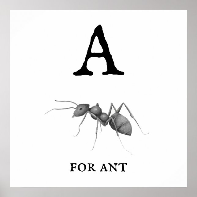 "A" for Ant  Poster (Front)