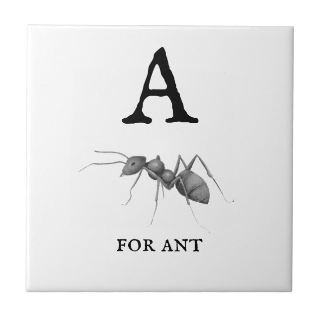 "A" for Ant  Tile (Front)