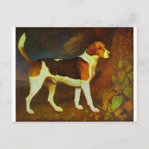 A Foxhound, Ringwod by George Stubbs Postcard