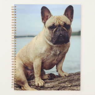 A French Bulldog Planner