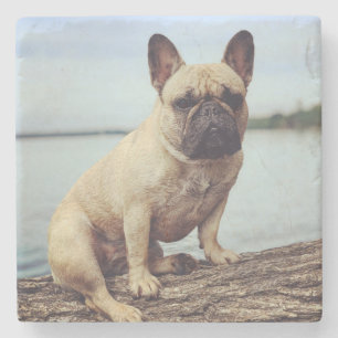 A French Bulldog Stone Coaster