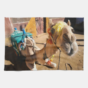 A friendly camel awaits its next rider, Cairo, Kitchen Towel
