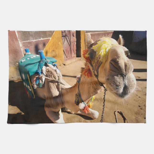 A friendly camel awaits its next rider, Cairo, Kitchen Towel (Horizontal)