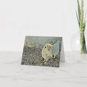 A Friendly Goat Says Hello - Blank Card