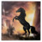 A Friesian Stallion horse rearing