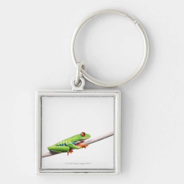 A frog hanging on keychain (Front)