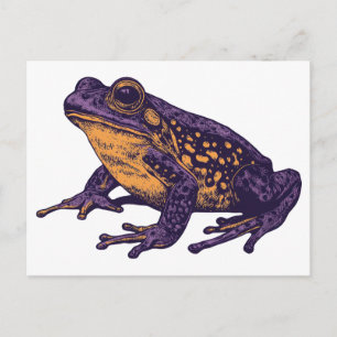 A frog illustration - l postcard