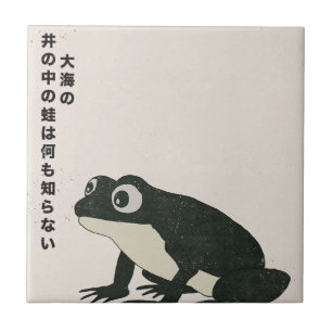 A frog in a well knows nothing of the great sea tile
