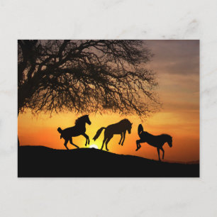 A fun Postcard with horses!
