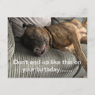 A funny Bull Mastiff postcard