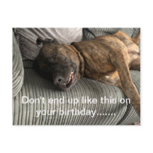 A funny Bull Mastiff postcard