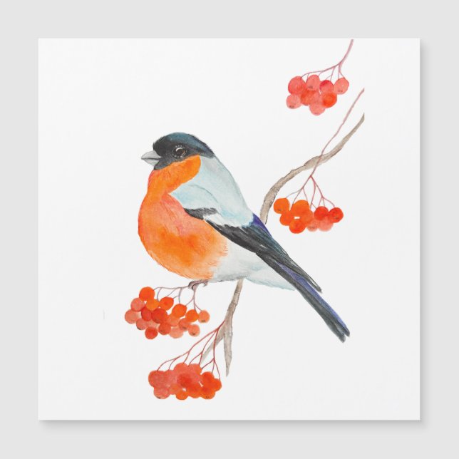 A funny bullfinch on a rowan tree branch (Front)