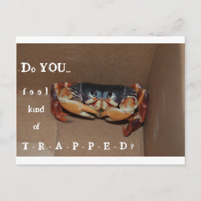 A funny card to cheer up a friend... (Front)