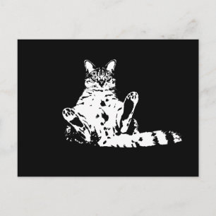 A Funny Grumpy Cat with Cattitude Postcard