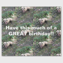 A funny Hungarian Vizsla roll of wrapping paper