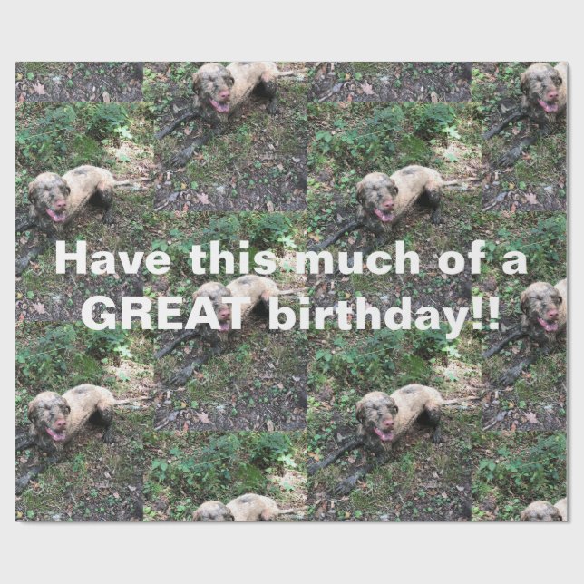 A funny Hungarian Vizsla roll of wrapping paper (Flat)