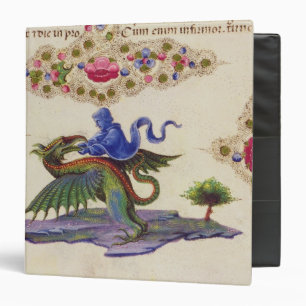 A Genie and Winged Monster Binder