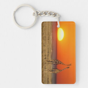 A Giraffe couple walks into the sunset, in Keychain