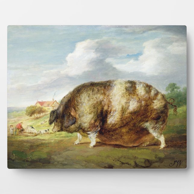 A Gloucestershire Old Spot (oil on panel) Plaque (Front)