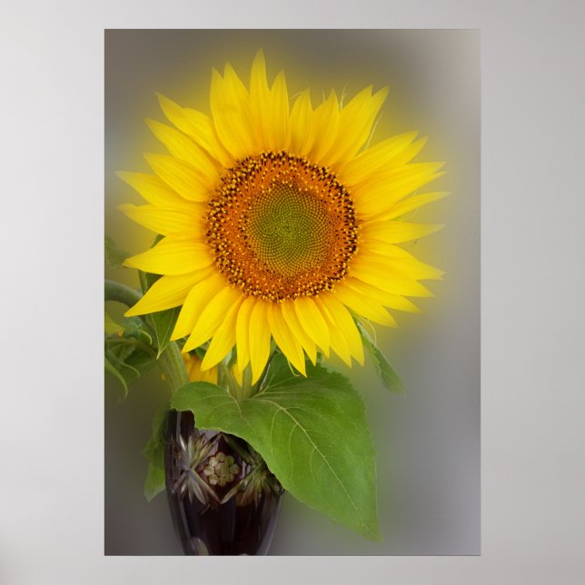 a glowing sunflower poster (Front)